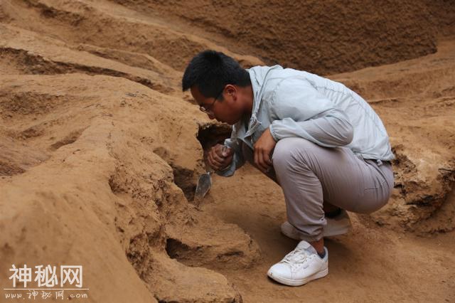 陕西刘家洼考古最新出土铜鼎、金器亮瞎眼：又找到新的“芮公”“芮太子”！-11.jpg