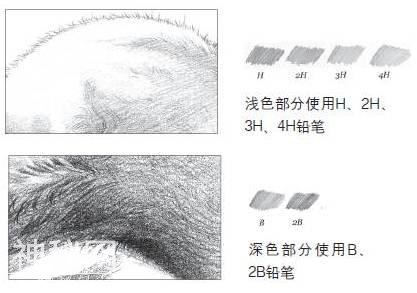 12步教你画一幅动物小素描！-2.jpg
