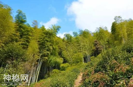 《发现·宜兴之美》——廿三湾-1.jpg