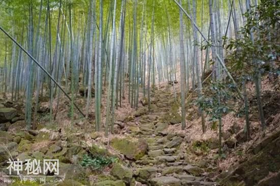 《发现·宜兴之美》——廿三湾-3.jpg
