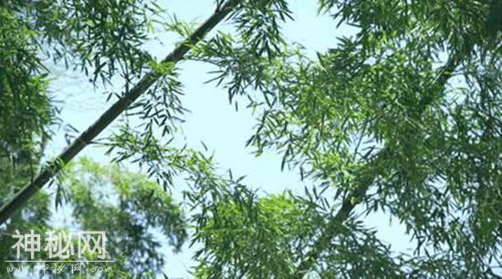 《发现·宜兴之美》——廿三湾-7.jpg