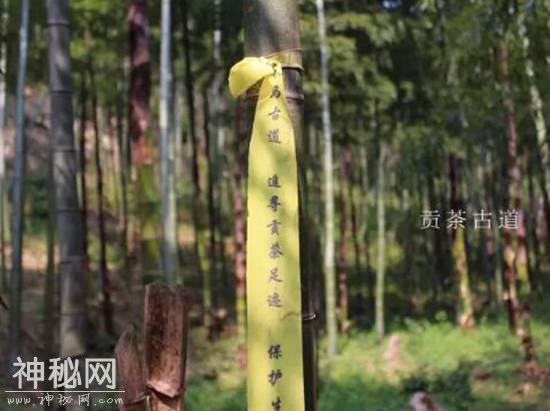 《发现·宜兴之美》——廿三湾-5.jpg