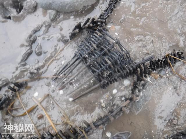 英国渔民发现800年前鱼篮，考古学家解密：“七鳃吸血鳗鱼”克星-4.jpg