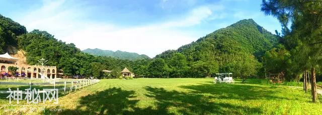 「请到韶关过大年」歌舞、民俗、祈福……新春的精彩根本停不下来-8.jpg