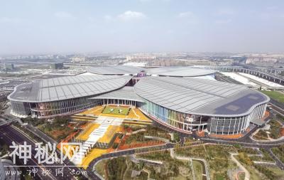 不断提升人文温度，近五年来上海文化设施形成集聚效应-7.jpg