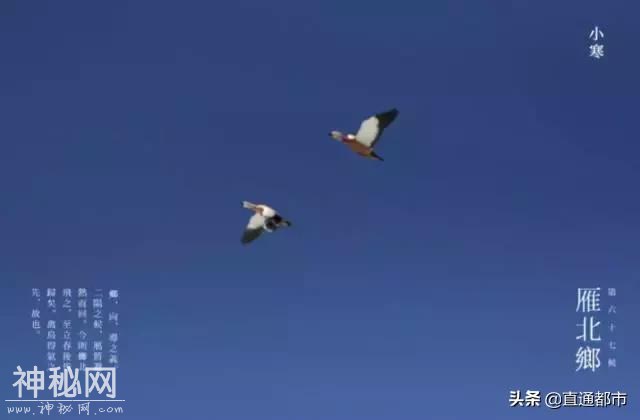 今日小寒：节气来由及民俗-4.jpg