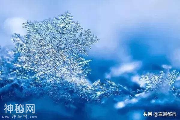 今日小寒：节气来由及民俗-20.jpg