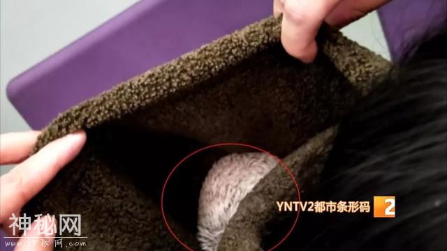 机场安检男子面露诡异微笑，一查嘴里竟然藏着这个-16.jpg