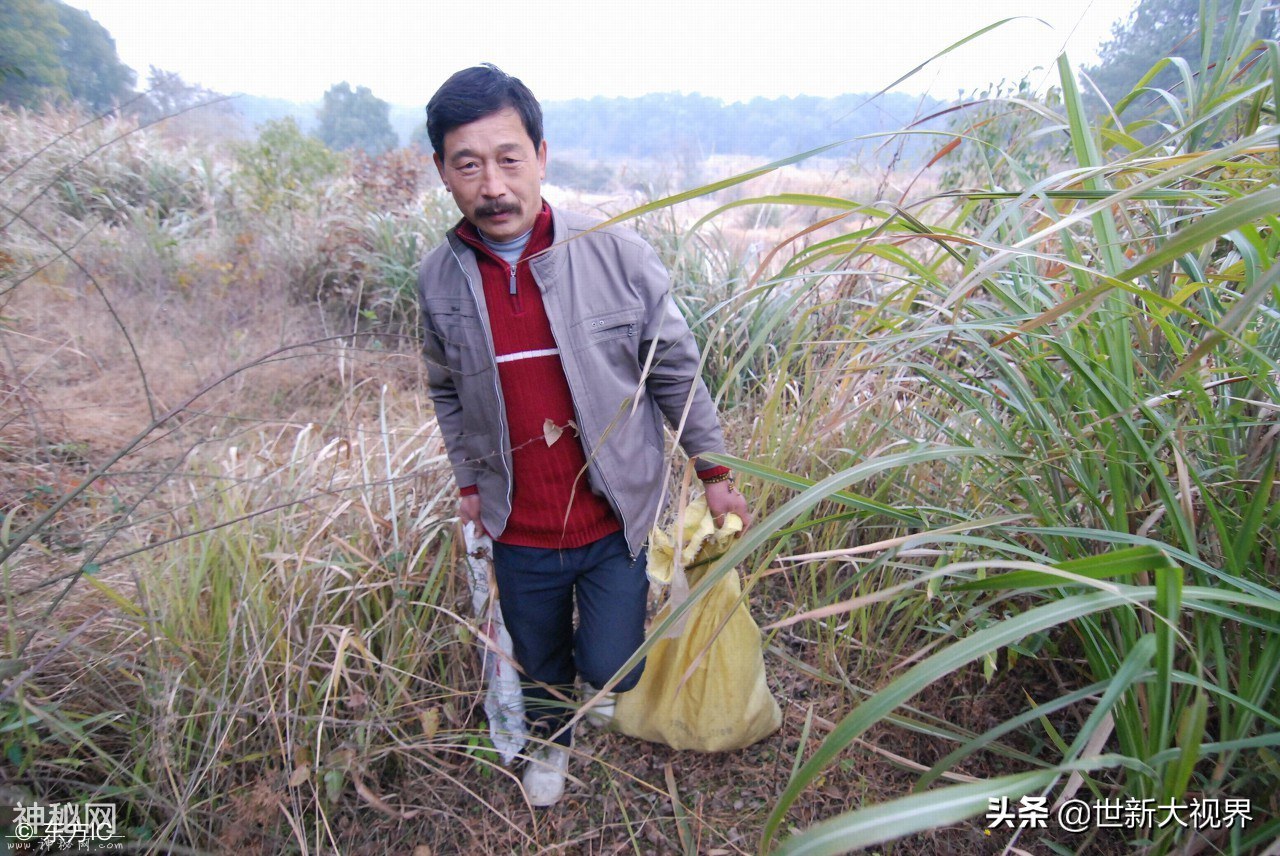 九江奇人靠捉“稀罕物”发家致富，800元一斤，一年轻松收入6万-7.jpg