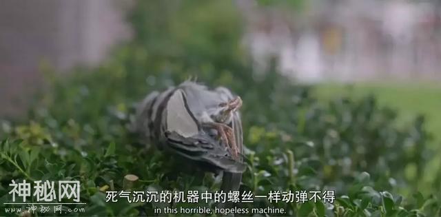 这部恐怖片，不给好评就……！-18.jpg