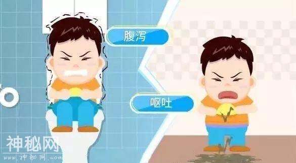呕吐、腹泻？小心冬天这种病毒常来光顾-2.jpg