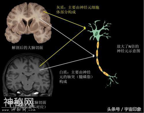 人类并非起源宇宙又添一关键证据，10名宇航员均出现了不可逆变化-2.jpg