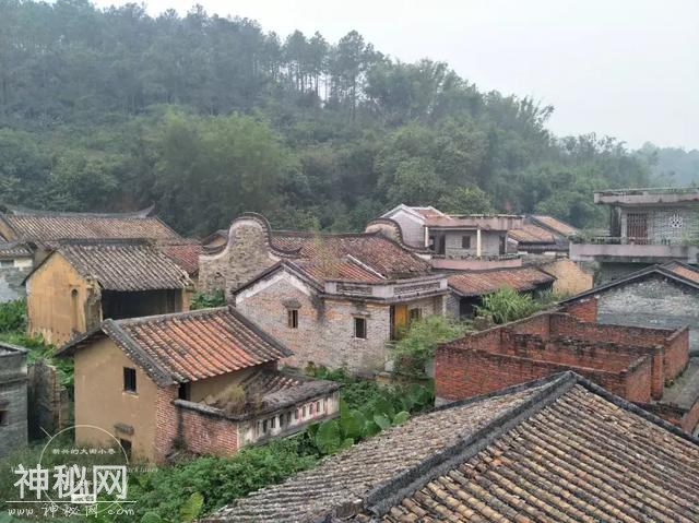 新州古韵｜新兴县洞口三挺村：依山傍水的人文古村-2.jpg