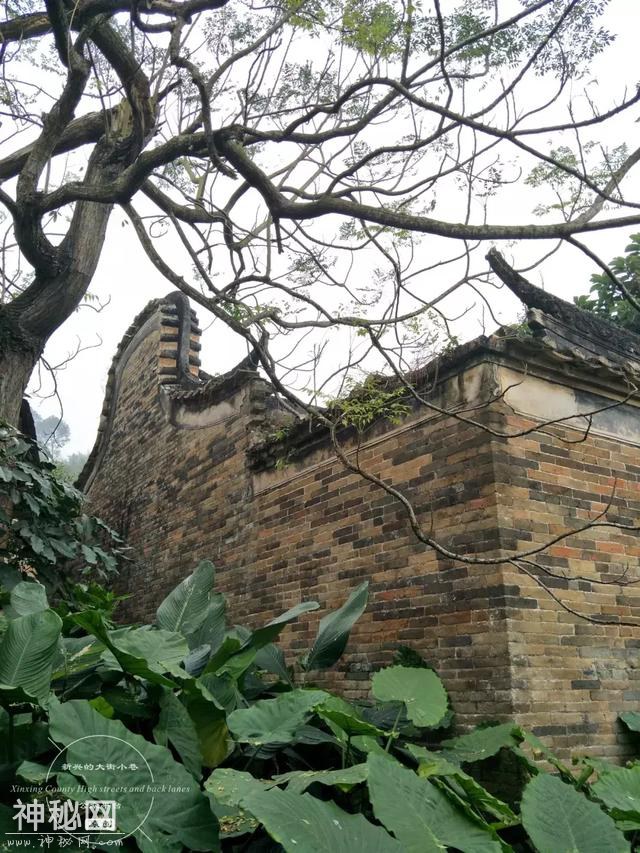 新州古韵｜新兴县洞口三挺村：依山傍水的人文古村-38.jpg