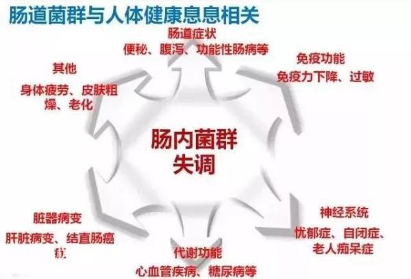 科学认证：自闭症儿童有救！肠道细菌便是救星-4.jpg