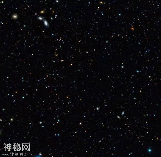 有科学家无意间将树叶放大一亿倍，然后看见了宇宙和星系-6.jpg