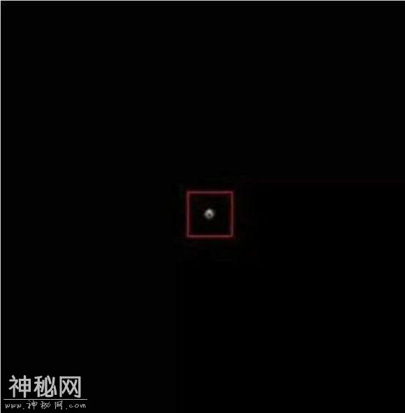 有科学家无意间将树叶放大一亿倍，然后看见了宇宙和星系-5.jpg