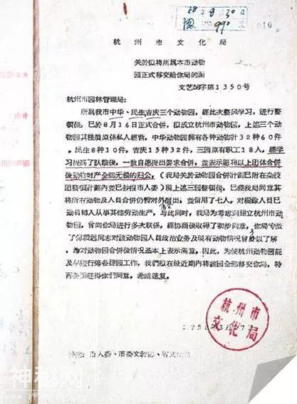 「口述西湖历史」尽我们的努力，让动物快乐起来-2.jpg