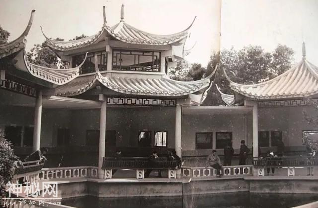 「口述西湖历史」尽我们的努力，让动物快乐起来-12.jpg