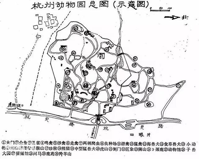 「口述西湖历史」尽我们的努力，让动物快乐起来-10.jpg