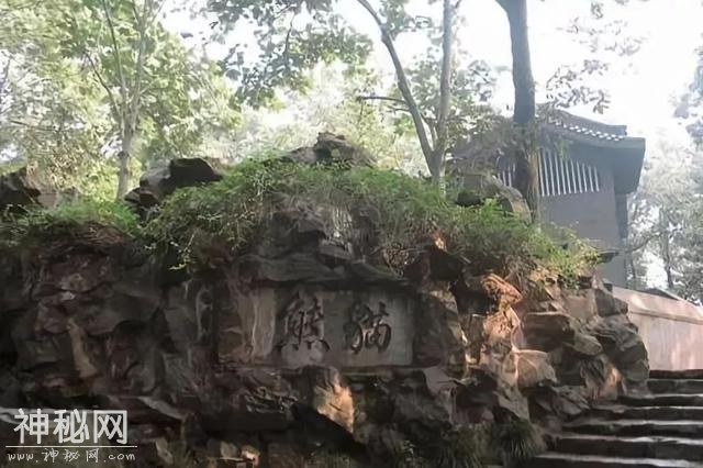 「口述西湖历史」尽我们的努力，让动物快乐起来-14.jpg