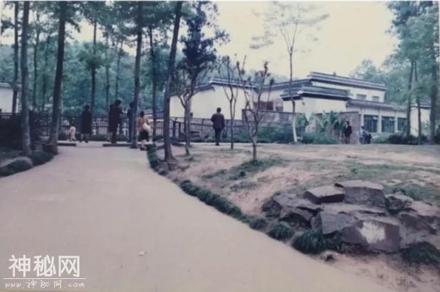 「口述西湖历史」尽我们的努力，让动物快乐起来-16.jpg