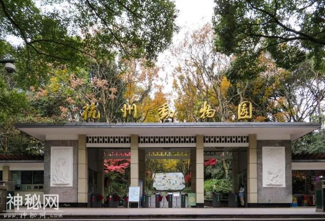 「口述西湖历史」尽我们的努力，让动物快乐起来-22.jpg