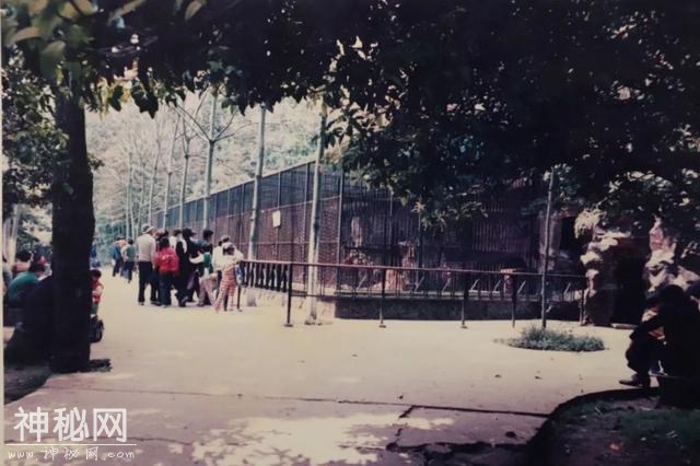 「口述西湖历史」尽我们的努力，让动物快乐起来-19.jpg