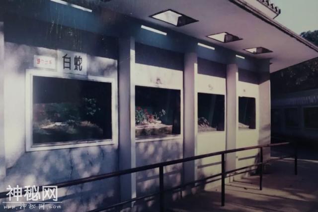 「口述西湖历史」尽我们的努力，让动物快乐起来-25.jpg