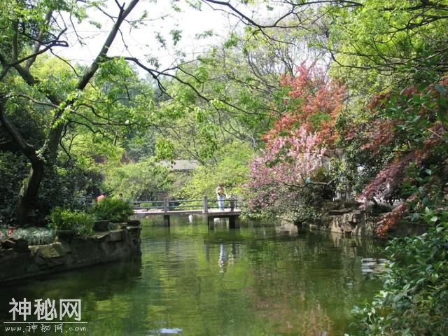 「口述西湖历史」尽我们的努力，让动物快乐起来-23.jpg