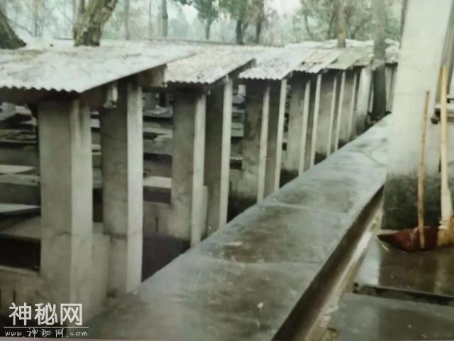 「口述西湖历史」尽我们的努力，让动物快乐起来-32.jpg
