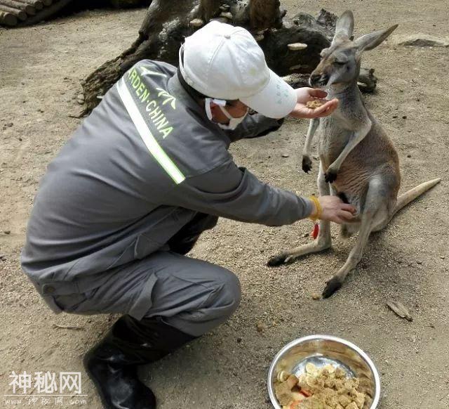 「口述西湖历史」尽我们的努力，让动物快乐起来-42.jpg