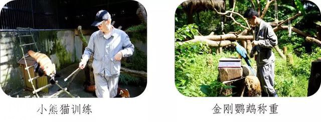「口述西湖历史」尽我们的努力，让动物快乐起来-39.jpg