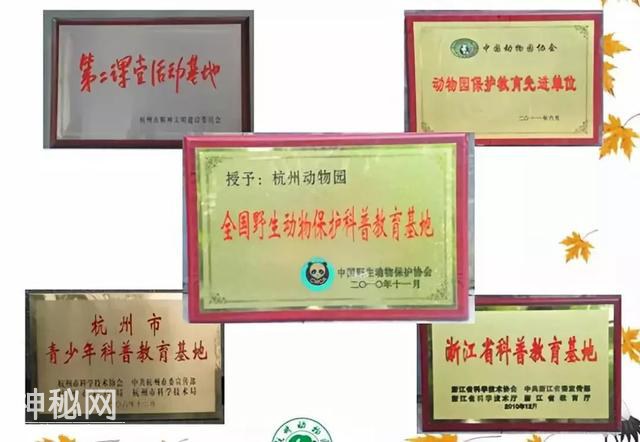「口述西湖历史」尽我们的努力，让动物快乐起来-47.jpg