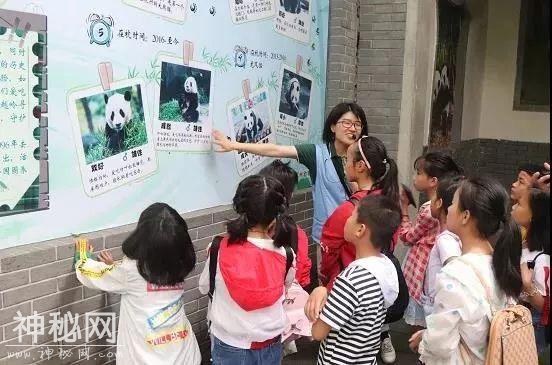 「口述西湖历史」尽我们的努力，让动物快乐起来-45.jpg