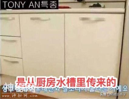 金在中自曝半夜睁眼看见私生饭站在床边，网友：现实版恐怖片-23.jpg