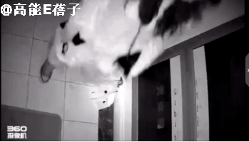 金在中自曝半夜睁眼看见私生饭站在床边，网友：现实版恐怖片-41.jpg