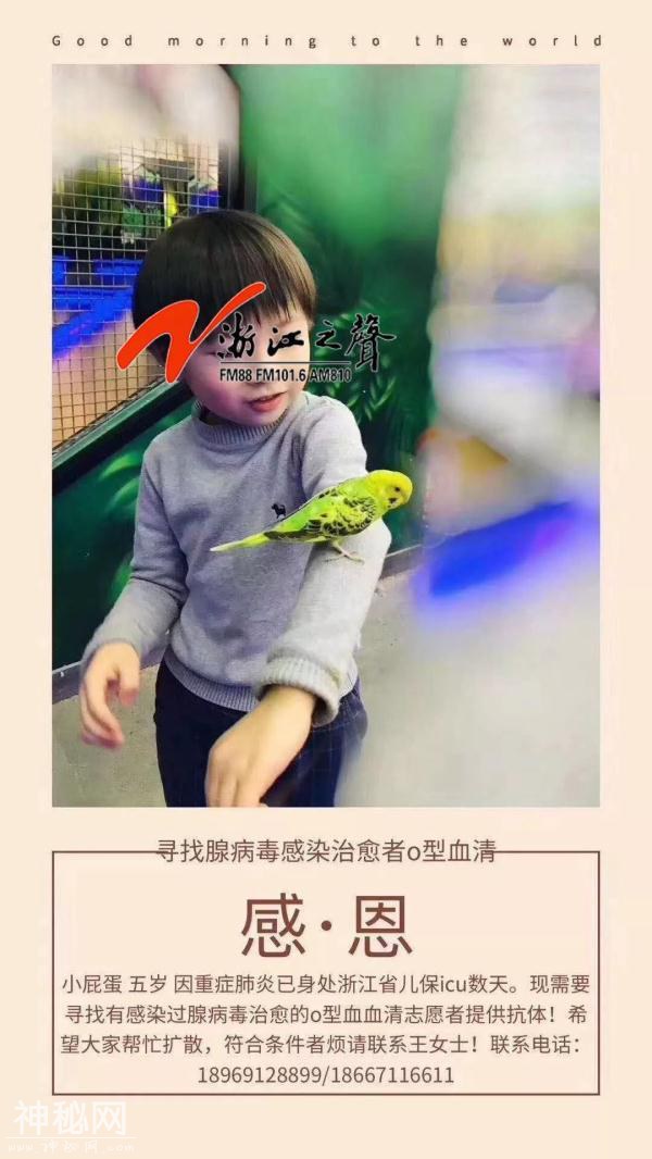 急需这种血！5岁宝宝因腺病毒感染病危！妈妈说呼吸机已经没用了-5.jpg