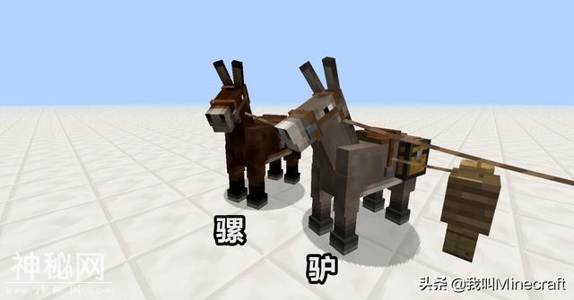 如果《我的世界》需要玩家投票来“移除”1种生物，你会选谁？-2.jpg