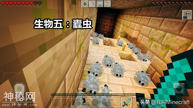 如果《我的世界》需要玩家投票来“移除”1种生物，你会选谁？-5.jpg