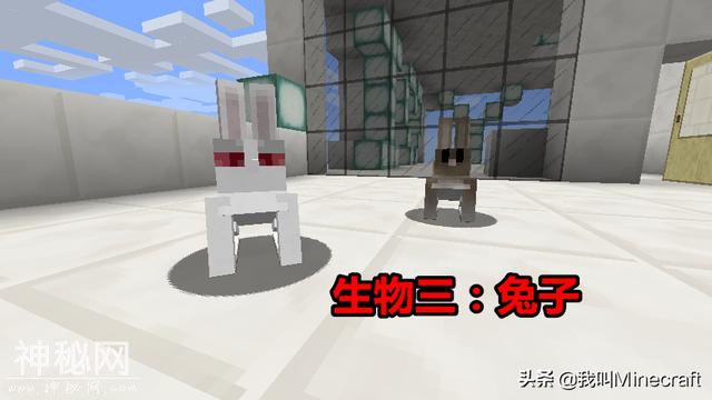 如果《我的世界》需要玩家投票来“移除”1种生物，你会选谁？-3.jpg