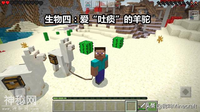 如果《我的世界》需要玩家投票来“移除”1种生物，你会选谁？-4.jpg