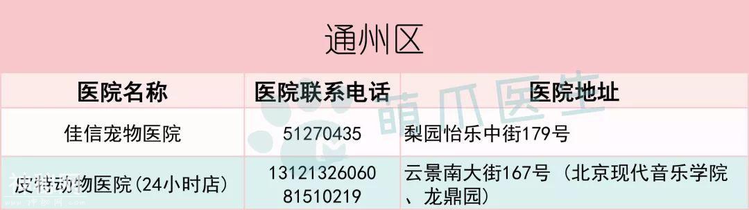 这些24小时动物医院，关键时刻能救猫狗一命！-6.jpg