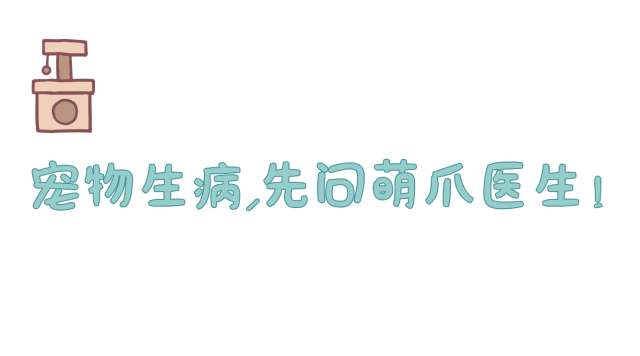 这些24小时动物医院，关键时刻能救猫狗一命！-1.jpg