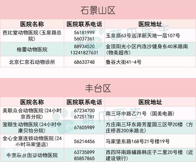 这些24小时动物医院，关键时刻能救猫狗一命！-4.jpg