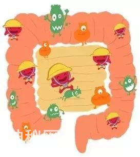 肠道里的细菌竟可准确地揭示人的真实年龄-2.jpg