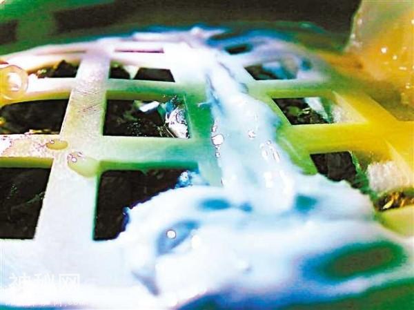 嫦娥四号为月球带去生命，宇宙中至少有两颗星球存在生命了-4.jpg