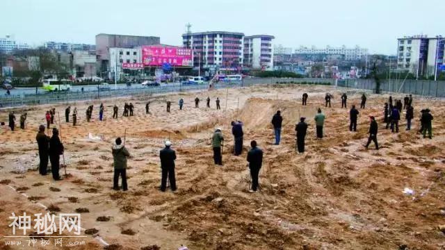 考古还是盗墓？看看他们手里拿的洛阳铲就知道了！-6.jpg