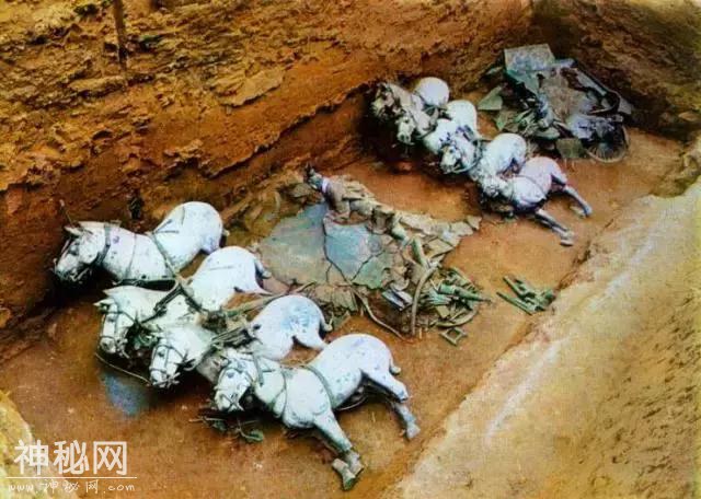 考古还是盗墓？看看他们手里拿的洛阳铲就知道了！-5.jpg