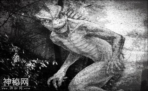 盘点几种争议较大的未知生物，真假难辨赚钱是真-2.jpg